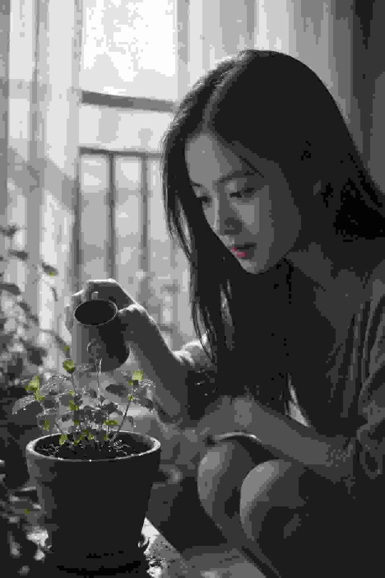 绝情谷的秘密